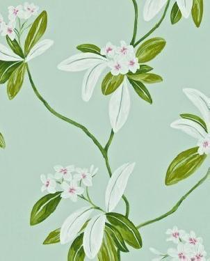 Обои Sanderson Richmond Hill Richmond Hill DRCH212129 изображение 0