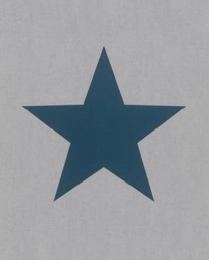 Обои Rasch Kids&Teens 248104