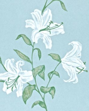 Обои Sanderson Painter's Garden Painter's Garden DAPGSE103 изображение 0