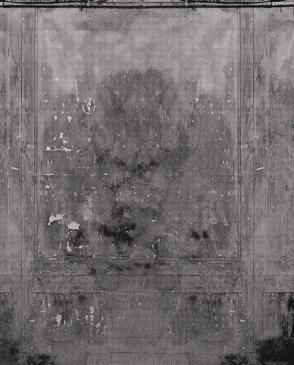 Итальянские Обои с акриловым покрытием Contemporary Wallpaper 2014 WDCM1401 изображение 0