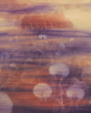 Обои Tendenze 73898 изображение 0