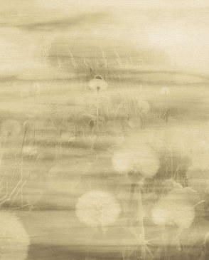 Обои Emiliana Parati Tendenze Tendenze 73899 изображение 0