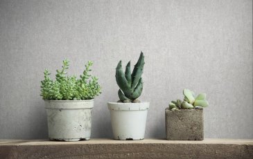 Обои Marburg City Charm 35037 изображение 3