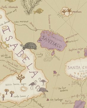 Обои Sanderson Voyage of Discovery Wallpapers Voyage of Discovery Wallpapers DVOY213363 изображение 0