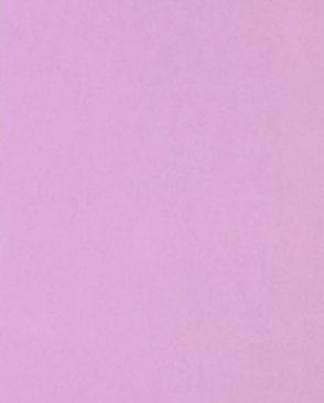 Обои Designers Guild Tsuga p502-40