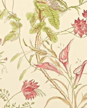 Обои Sanderson Caverley DCAVMA104