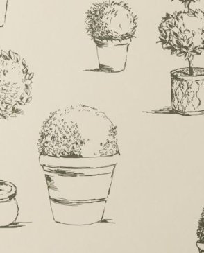 Обои Clarke & Clarke Clarisse Clarisse W0032-01 изображение 0