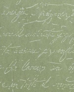 Обои Sirpi Rhinoceros 15514