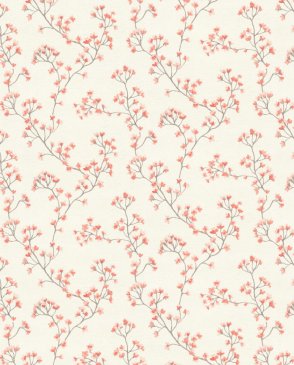 Обои Beltesto 792720 изображение 0