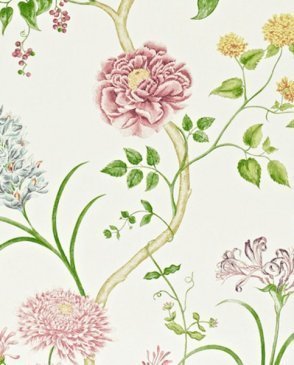 Обои Sanderson Painter's Garden Painter's Garden DAPGST103 изображение 0