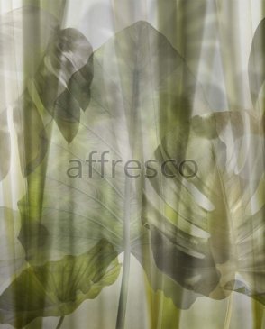 Фрески зеленые с акриловым покрытием New Art RE200-COL1 изображение 0