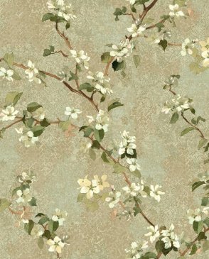 Обои York Charlotte TB4218