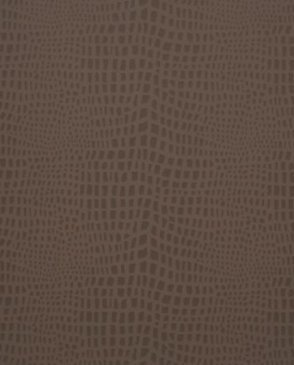 Обои Clarke & Clarke Couture W0004-02