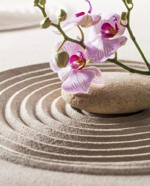 Обои Decoprint NV Mood MD902014