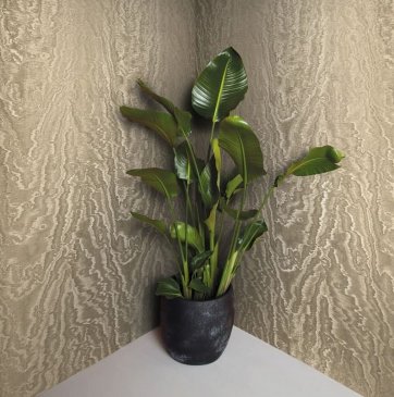 Обои Marburg Eclectic 34922 изображение 3