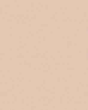 Обои оранжевые Fresh Up 82490 изображение 0