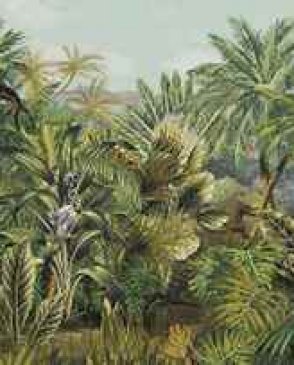 Фрески Ortograf It`s jungle 8312 изображение 0