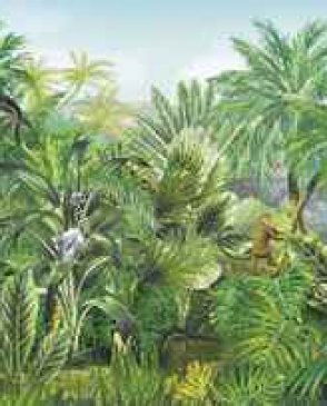 Фрески Ortograf It`s jungle 8314 изображение 0