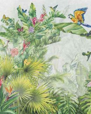 Фрески Ortograf It`s jungle 8324 изображение 0