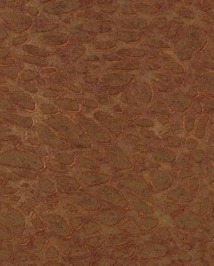 Обои Marburg Cuvee Prestige 54919