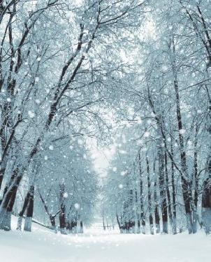 Обои с акриловым покрытием No.10 65240090 изображение 0