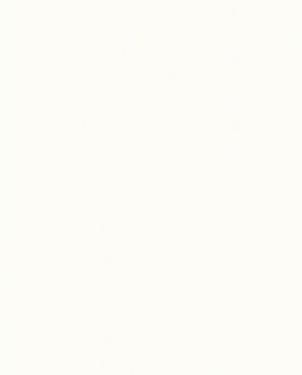 Обои Sirpi Rhinoceros 5 20383