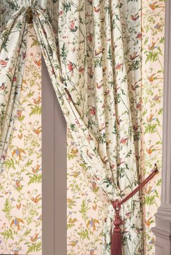 Обои Cole & Son Hummingbirds Cream 124-1002 изображение 6