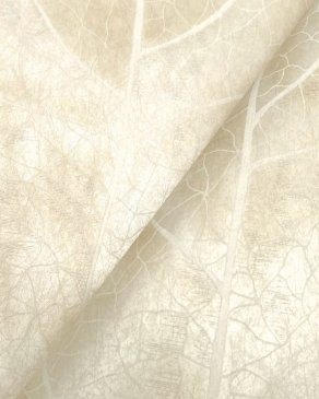 Обои York Candice Olson Natural Discovery NT6145 изображение 2