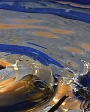 Обои Atlas Wallcoverings Raphael 4 1397