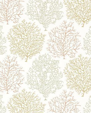 Обои Sanderson Voyage of Discovery Wallpapers Voyage of Discovery Wallpapers DVOY213393 изображение 0