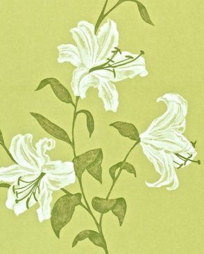 Обои Sanderson Painter's Garden Painter's Garden DAPGSE104 изображение 0