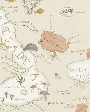 Обои Sanderson Voyage of Discovery Wallpapers Voyage of Discovery Wallpapers DVOY213362 изображение 0