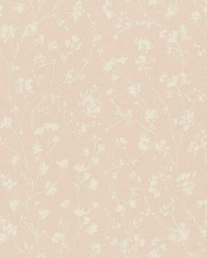 Обои Alghero 943511 изображение 0