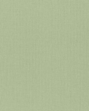 Обои зеленые с виниловым покрытием Wall Textures XL 3 960716 изображение 0