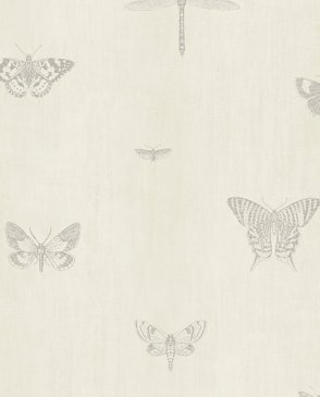 Обои с бабочками, насекомыми для спальни Lipari LP00313 изображение 0