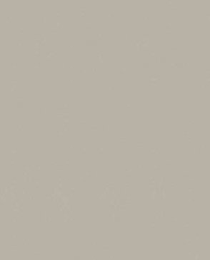 Обои Trace 97736 изображение 0