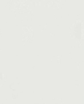 Обои Trace 97738 изображение 0