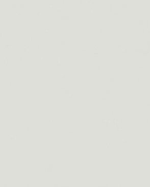 Обои Trace 97739 изображение 0