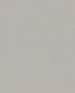 Обои Trace 97743 изображение 0