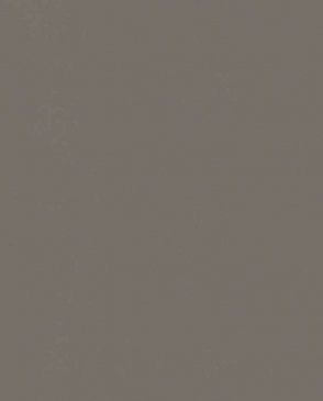 Обои Trace 97745 изображение 0