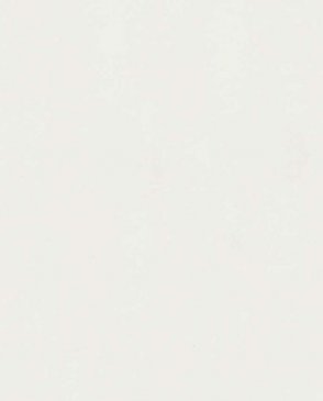 Обои Trace 97761 изображение 0