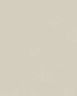 Обои Trace 97764 изображение 0