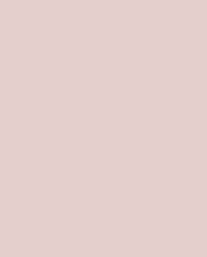 Обои – новинки Trace 97768 изображение 0