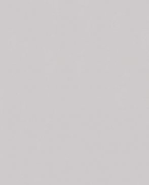 Обои Trace 97771 изображение 0