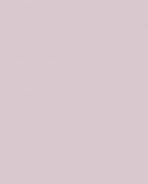 Обои – новинки Trace 97771 изображение 0