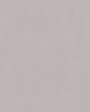 Обои Trace 97772 изображение 0