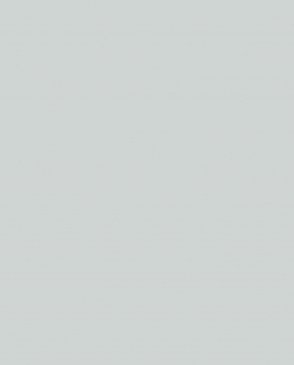 Обои – новинки Trace 97779 изображение 0