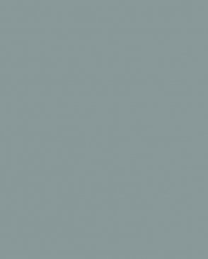 Обои – новинки Trace 97784 изображение 0