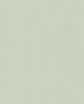 Обои Trace 97787 изображение 0