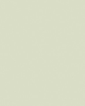 Обои – новинки Trace 97787 изображение 0